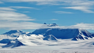 Sea ice in Antarctic at record low: US data center