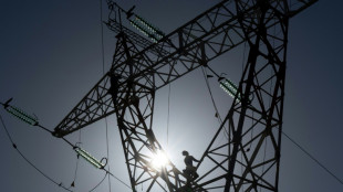 Energiewirtschaft ruft zu Innovationsschub f&uuml;r Erneuerbare und Netze 2023 auf 