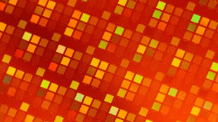 Corea del Sur marca r&eacute;cord en exportaciones de semiconductores en septiembre