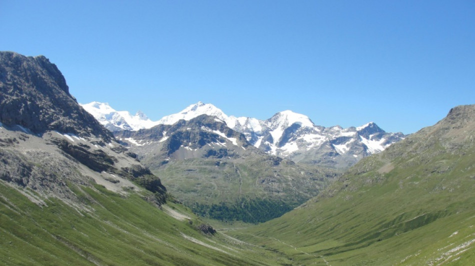 Seen from space, the snow-capped Alps are going green
