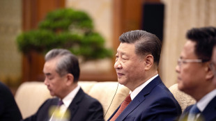 Cina a Trump, 'il nostro &egrave; il pi&ugrave; grande sistema di energia rinnovabile'