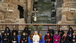 Il Papa, basta guerre con i loro cumuli di morti