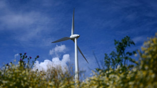 Woidke beklagt Benachteiligung von Landbev&ouml;lkerung durch Energiewende