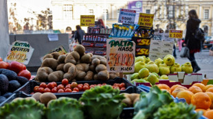 Chile registra en junio inflaci&oacute;n del 0,9% y 12,5% en un a&ntilde;o