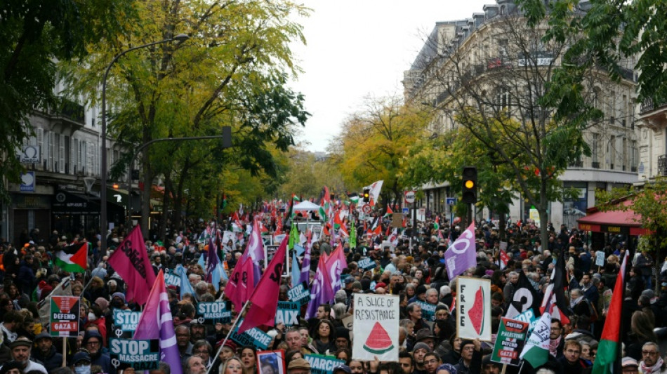 Des milliers de manifestants en France pour un "cessez-le-feu" &agrave; Gaza