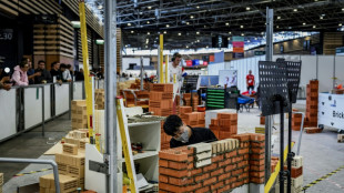 A vos truelles, burins et ciseaux: la comp&eacute;tition WorldSkills a d&eacute;marr&eacute; 