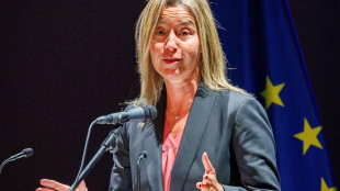 Legale di Mogherini, 'interrogatorio fiume, risposte a 360&deg;'