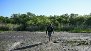 Sequía extrema pone a prueba la fauna y el turismo en los Everglades de Florida