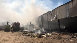 Forze governative Yemen, ripreso il controllo di Bab el Mandeb