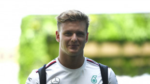 Ralf Schumacher zu Hamilton-Nachfolge: Gute Chancen f&uuml;r Mick