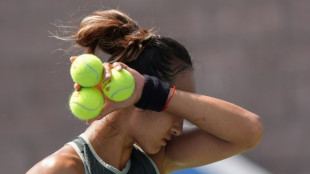US Open: surchauffe sur les courts &agrave; New York