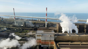 El mayor fondo soberano del mundo exige neutralidad carbono de aqu&iacute; a 2050