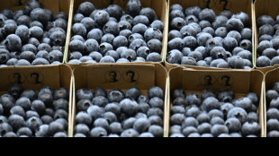 Ifo: Weniger Preiserh&ouml;hungen im Lebensmittelhandel - mehr im Gro&szlig;handel