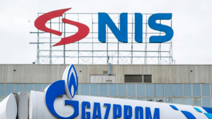 Serbia avoiding 'confiscation' of Russian shares in oil firm NIS