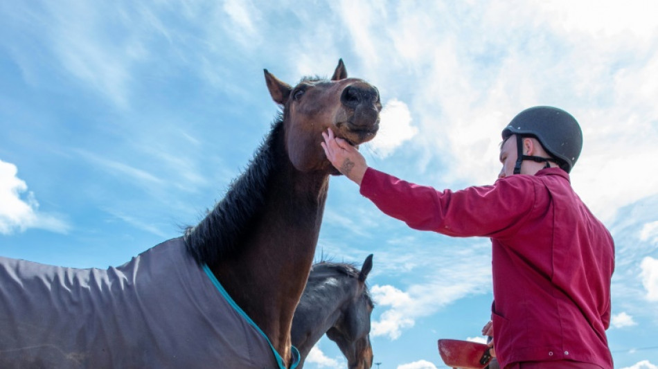 Horses give Irish prisoners hope of a stable life