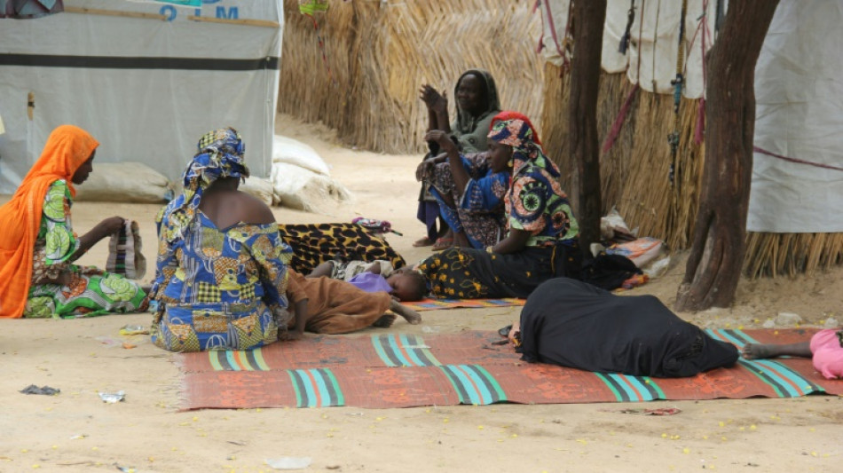 Lucha entre yihadistas de Boko Haram y el Estado Isl&aacute;mico por la supremac&iacute;a en Nigeria