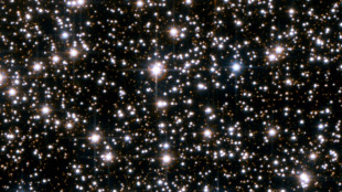 Lost in space: Sperm struggles to navigate during weightless sex