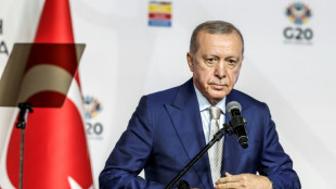 Cuatro a&ntilde;os de c&aacute;rcel para un periodista turco por "amenazas" a Erdogan