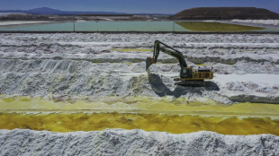 Chili : naissance d'une entreprise g&eacute;ante pour l'exploitation du lithium