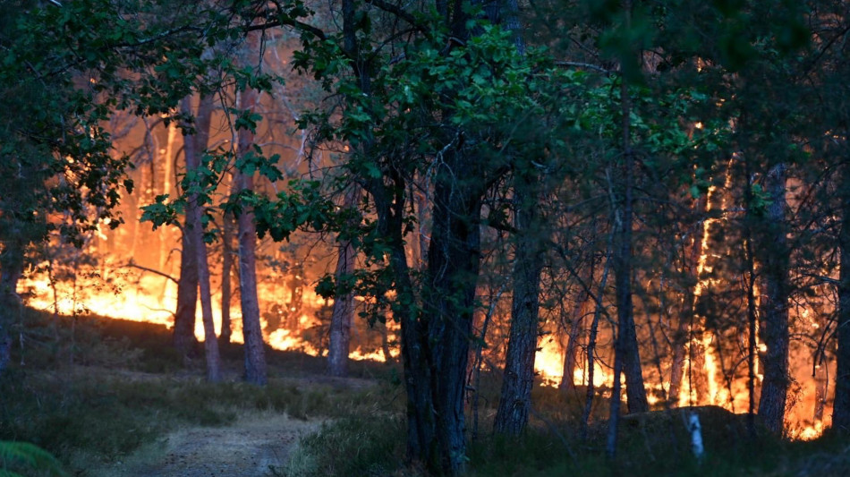 Incendio nella foresta di Fontainebleau, a sud est di Parigi, 'forse doloso'