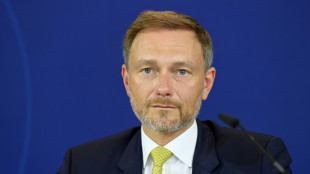 FDP weist Bericht &uuml;ber Porsche-Einflussnahme auf Lindner zur&uuml;ck