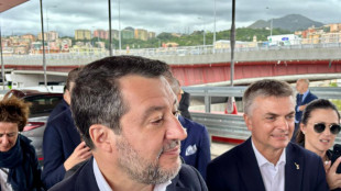 Lega, pronta la norma sui controlli antimafia ponte Stretto