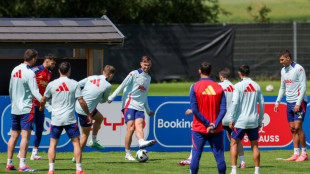 Adaptaci&oacute;n y confianza, pilares de la 'Roja' para la Eurocopa