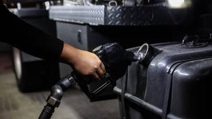 Fmi, Bm e Iea, 'carburanti a rischio in estate se non riapre Hormuz'