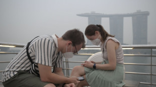 Four killed battling Indonesia fires as toxic haze cloaks region