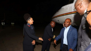 L'ex-président gabonais Ali Bongo et sa famille en Angola