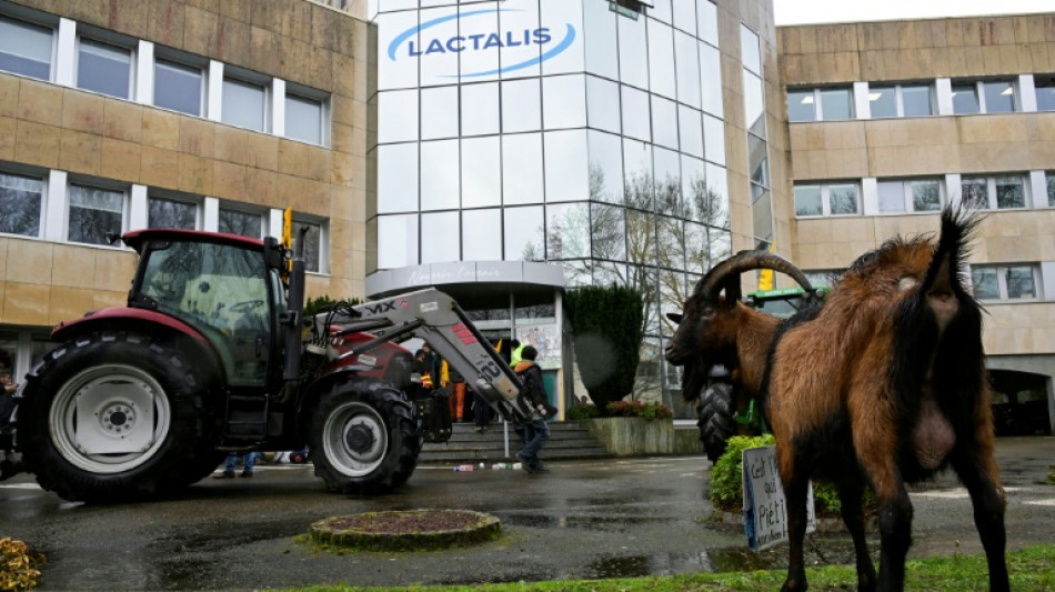 Dermatose et abattage des bovins: la Conf&eacute;d&eacute;ration paysanne et la Coordination rurale appellent &agrave; de nouvelles mobilisations