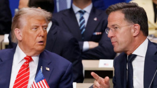 "Papito": Rutte usa un elogio sin precedentes para referirse a Trump