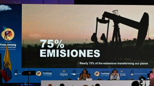 France unveils plan to ditch all fossil fuels by 2050