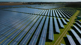 F&ouml;rderung f&uuml;r erneuerbare Energien d&uuml;rfte 2024 neuen H&ouml;chstwert erreichen