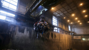 Dans un incin&eacute;rateur francilien, voyage au centre des d&eacute;chets