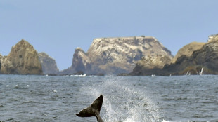 Seis personas, incluida una beb&eacute;, mueren en un ataque armado en una playa de Ecuador