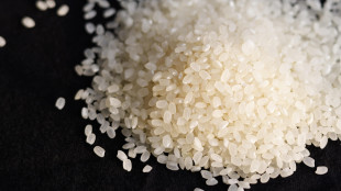 Coldiretti Vercelli-Biella, allarme crollo prezzi del riso