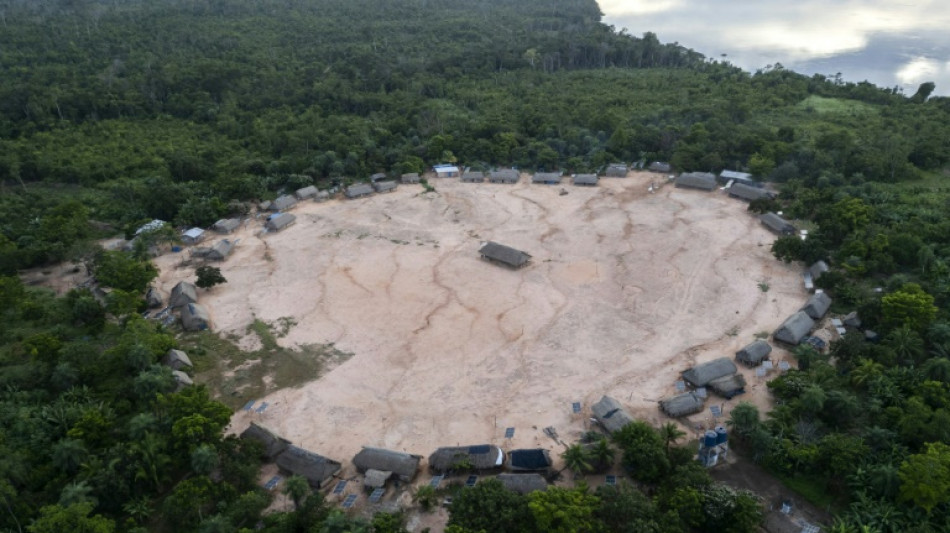 Climat: des pays accusés de "jouer" avec les forêts pour réduire leur ambition
