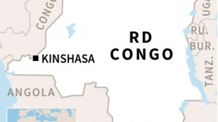 M&aacute;s de 200 muertos por un deslave en una mina en RDC, seg&uacute;n autoridades