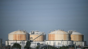 Leitung f&uuml;r schwimmendes LNG-Terminal soll am 20. Dezember in Betrieb gehen