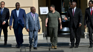 Vertreter afrikanischer Friedensmission in St. Petersburg eingetroffen