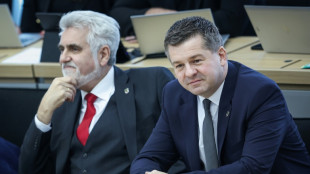 Sachsen-Anhalts SPD-Spitzenkandidat Willingmann sieht Fehler im Umgang mit AfD