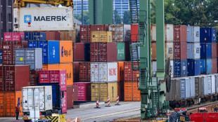 Ice, nel 2024 export italiano a 623,5 miliardi
