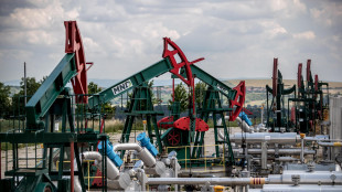 Il petrolio in rialzo a New York a 63,23 dollari