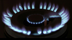Steuerzahlerbund begr&uuml;&szlig;t Energiesparpl&auml;ne Habecks