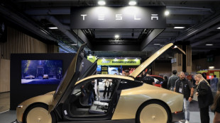 Tesla profits fall on higher spending as 'Elon Inc.' talk builds