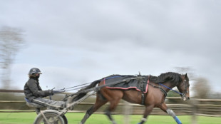 Le champion du monde du trot Idao de Tillard se qualifie pour l'Amérique