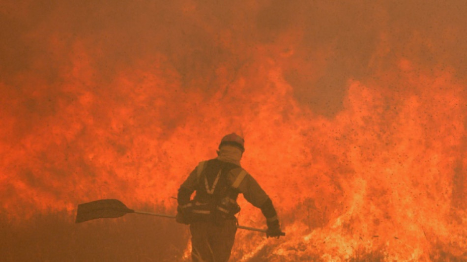Muere una segunda persona por los incendios forestales en Espa&ntilde;a
