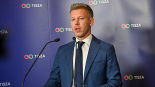Magyar, 'governo al pi&ugrave; presto, rappresenteremo tutti gli ungheresi'