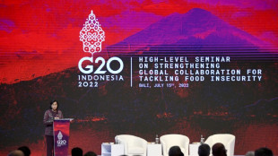 Les Occidentaux d&eacute;noncent au G20 l'impact de la guerre russe sur l'&eacute;conomie